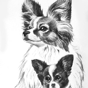 Custom Pet Portrait from Photo Hand Drawn Portrait Charcoal Drawing Sketch from Photo Custom Dog Portraits Cat Portrait Charcoal Portrait 2 Pets