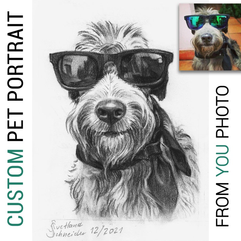 Custom Pet Portrait from Photo Hand Drawn Portrait Charcoal Drawing Sketch from Photo Custom Dog Portraits Cat Portrait Charcoal Portrait 1 Pet