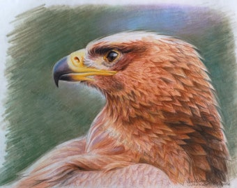 Eagle Painting Bird Original Art Soft Pastel Drawing Eagle Wall Art Bird of Prey Golden Eagle Artwork by SvetlanaSartStudio