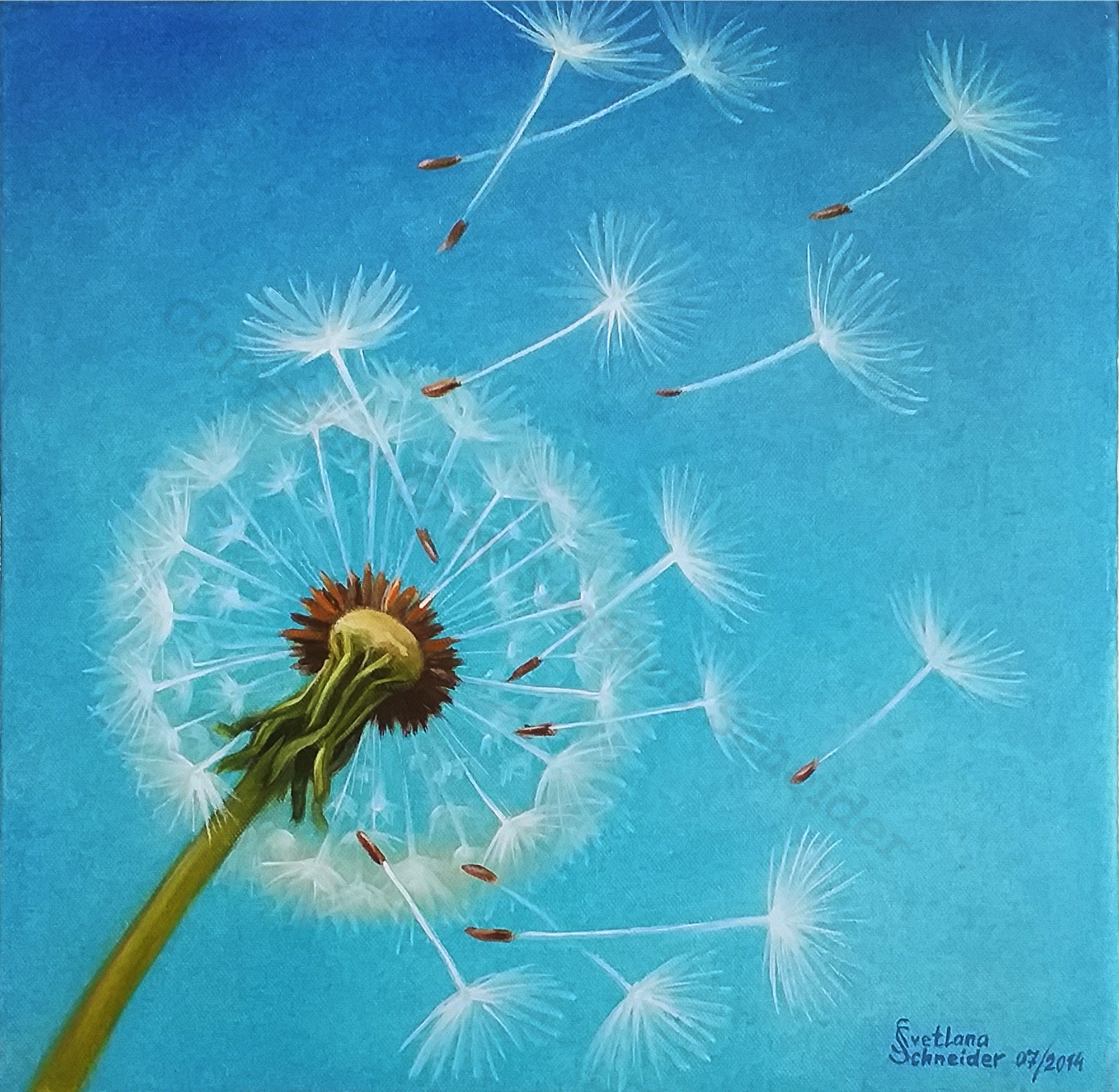 Dandelion Painting Original Art Oil on Canvas Hand painted Etsy