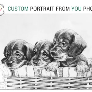 Pet Portrait from Photo Puppy Portrait Original Art Charcoal Drawing Custom Dog Drawing Custom Funny Pet Portrait by SvetlanaSartStudio