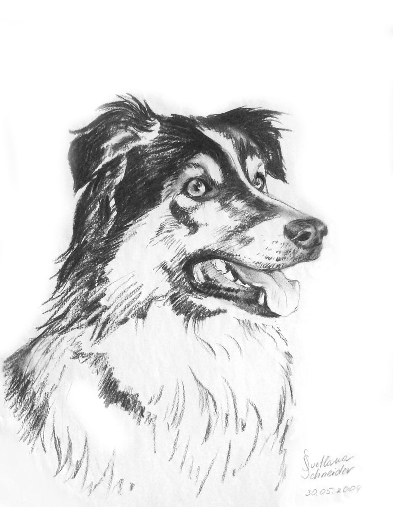 Custom Pet Portrait from Photo Hand Drawn Portrait Charcoal Drawing Sketch from Photo Custom Dog Portraits Cat Portrait Charcoal Portrait Bild 2