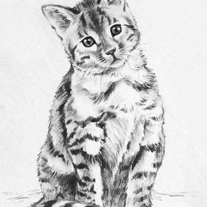 Custom Pet Portrait from Photo Hand Drawn Portrait Charcoal Drawing Sketch from Photo Custom Dog Portraits Cat Portrait Charcoal Portrait Bild 7