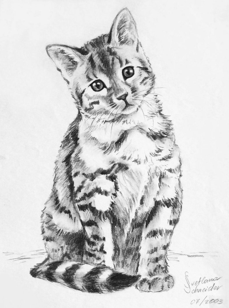 Custom Pet Portrait from Photo Hand Drawn Portrait Charcoal Drawing Sketch from Photo Custom Dog Portraits Cat Portrait Charcoal Portrait Bild 7