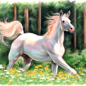 Weißer Hengst Pastell Malerei: Original Kunst, Pferd, Waldlandschaft (12x16) by SvetlanaSartStudio