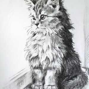 Custom Pet Portrait from Photo Hand Drawn Portrait Charcoal Drawing Sketch from Photo Custom Dog Portraits Cat Portrait Charcoal Portrait Bild 3