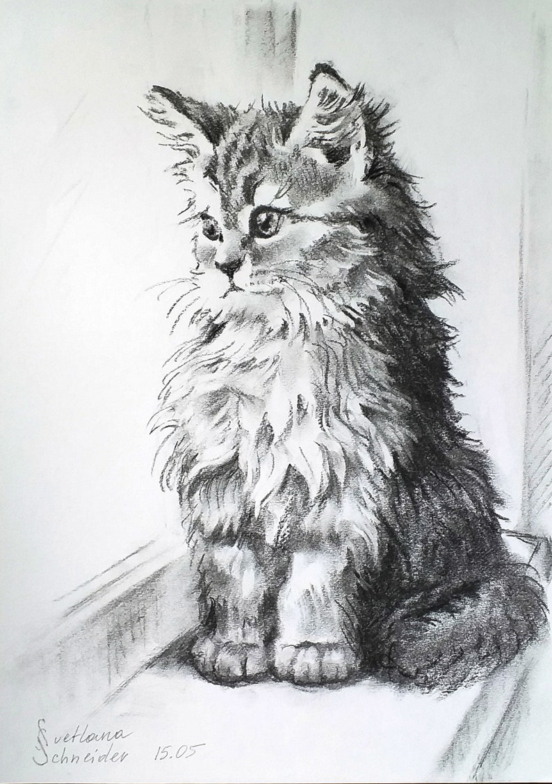 Custom Pet Portrait from Photo Hand Drawn Portrait Charcoal Drawing Sketch from Photo Custom Dog Portraits Cat Portrait Charcoal Portrait Bild 3