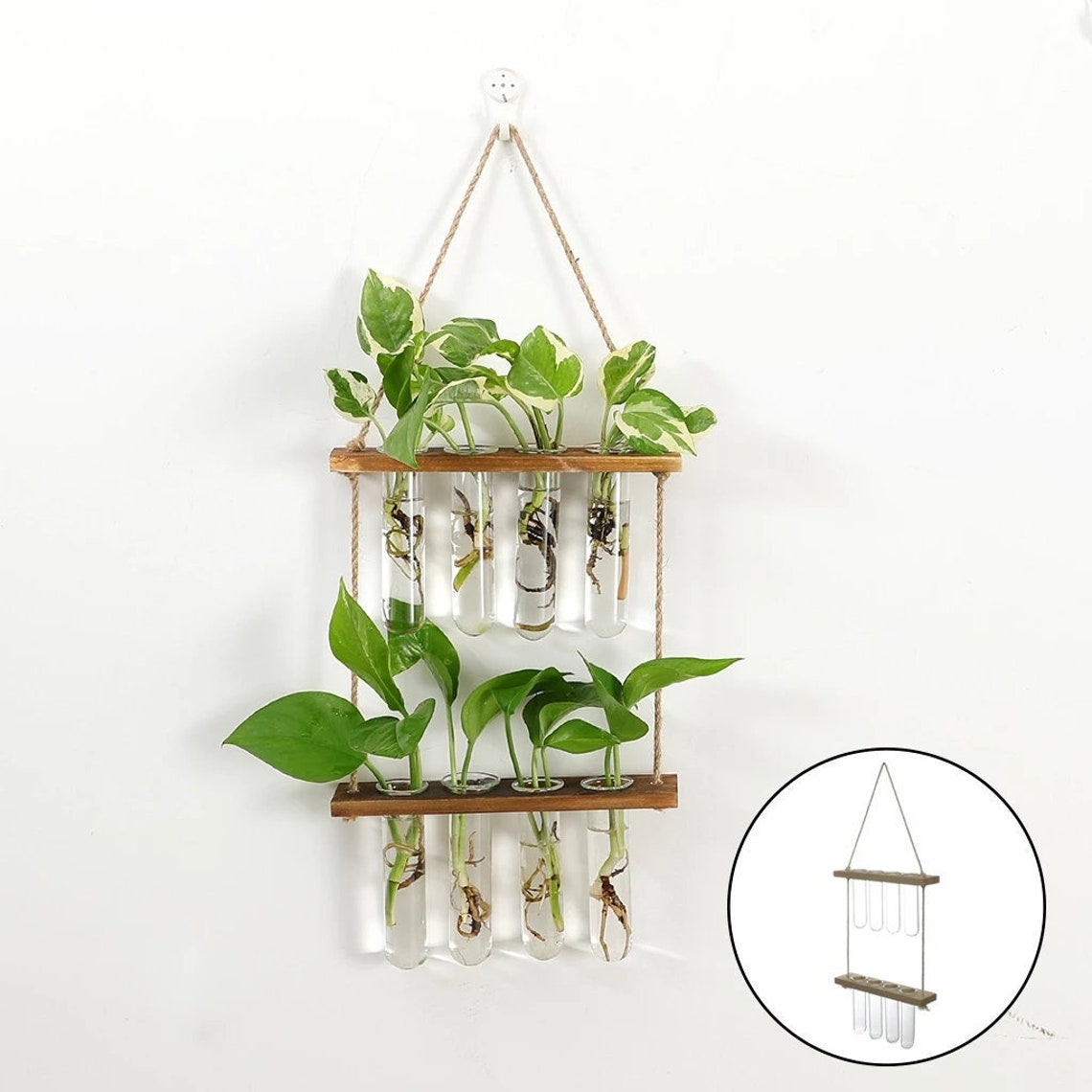 Wall Hanging Propagation Station for Plant Cuttings 2 Tier Etsy UK