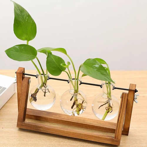 Hand Finished 3 Glass Vase Propagation Station Watch Your Etsy UK