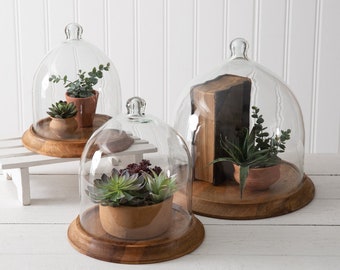 Glass and Wood Cloche | Farmhouse Table Decor | Rustic Tray | Rustic Round Tray | Wood and Glass Table Centerpiece | Vintage Tabletop Decor