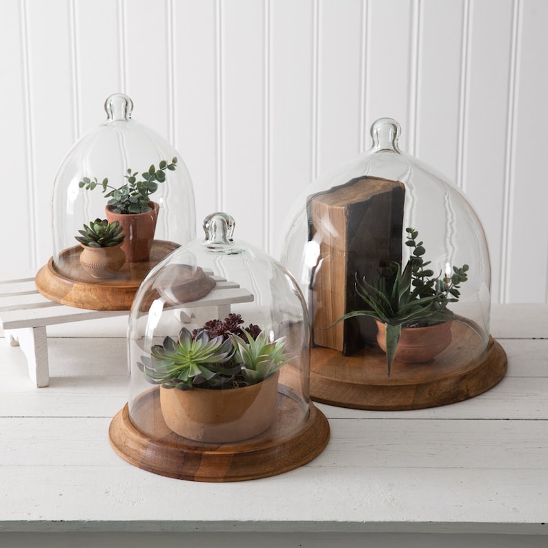 Glass and Wood Cloche Farmhouse Table Decor Rustic Tray - Etsy