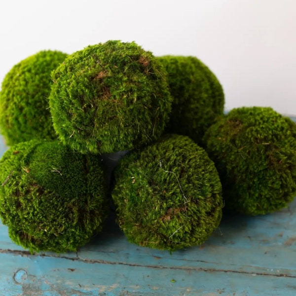 Large Preserved Moss Balls | Real Preserved Moss | Decorative Moss Balls | Maintenance Free Moss Decor | Handmade Moss Balls