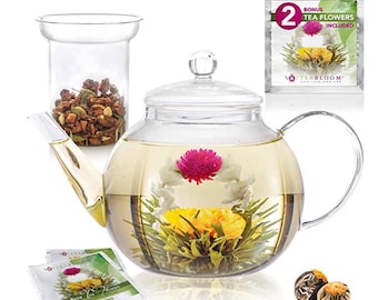 Teabloom Stovetop & Microwave Safe Glass Teapot (40 OZ / 1.2 L) with Removable Loose Tea Glass Infuser