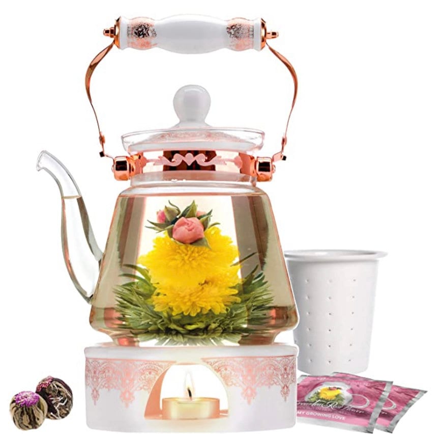 Teabloom Kyoto Glass Teapot with Removable Insfuser-24 OZ 