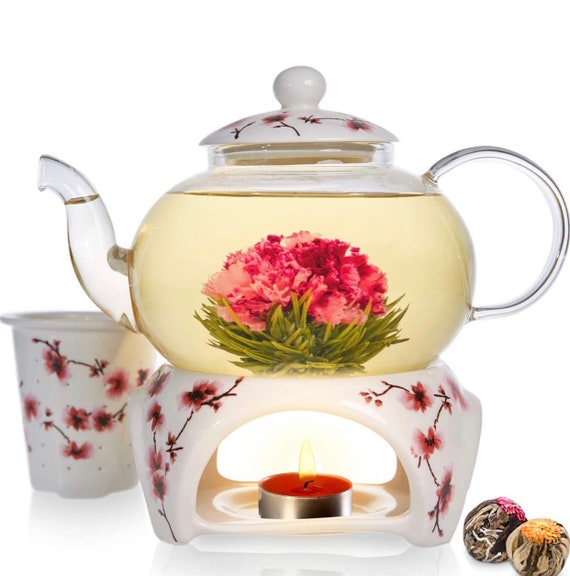 Teabloom Cherry Blossom Teapot & Flowering Tea Gift Set Stovetop Safe Glass  Teapot 27 OZ / 800 ML / 2-3 Cups, Porcelain Lid, Loose Tea I 