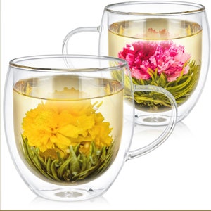 Double Wall Glass Flower Cup Dry Flowers Funny Aesthetic Cups Tea