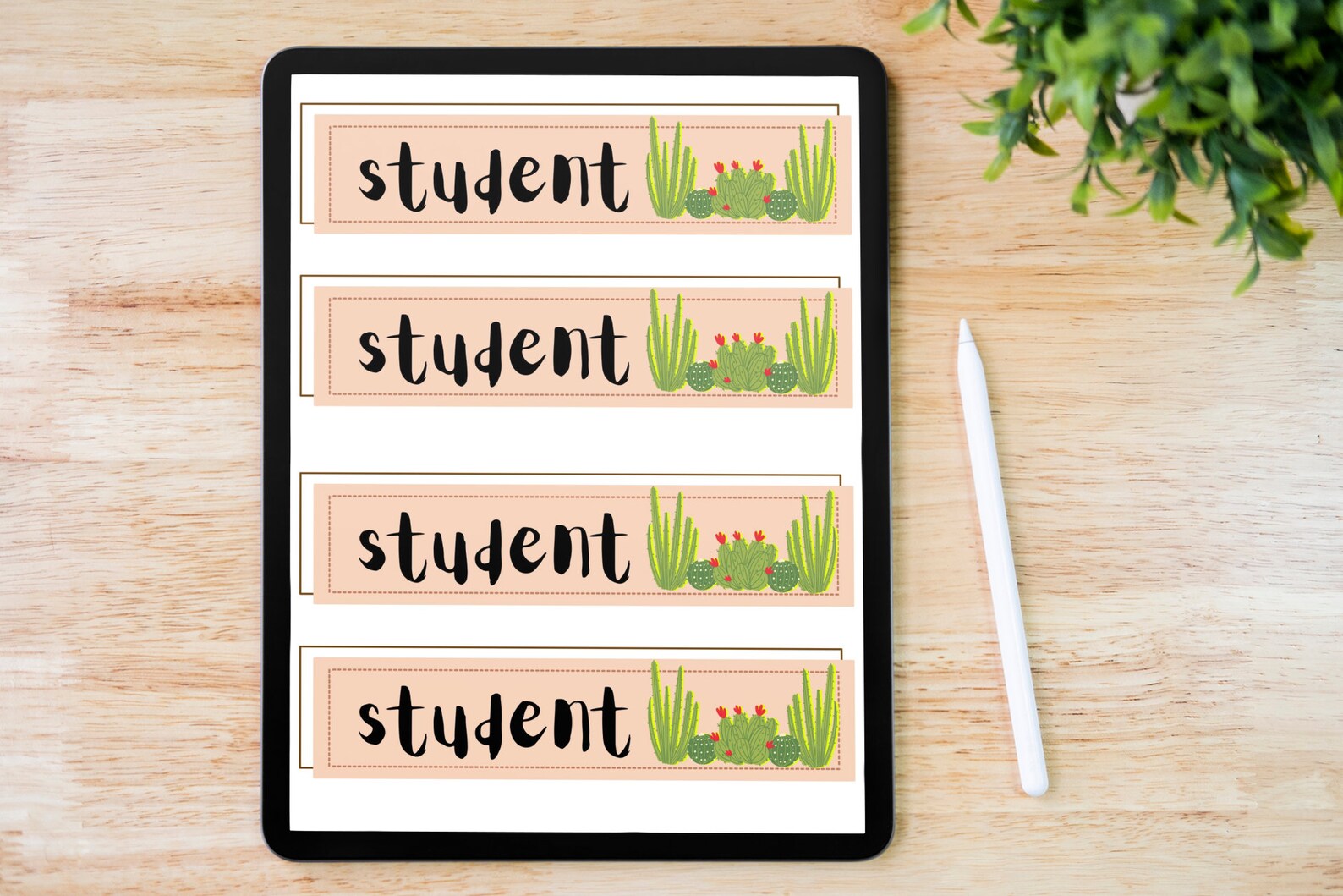 4 Cactus Student Name Tags, Student Desk Label, Desk Name Tag Student