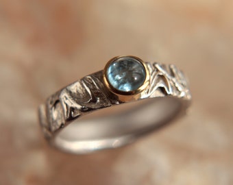 May include: A silver ring with a blue gemstone set in a gold bezel. The band is textured with a floral design.