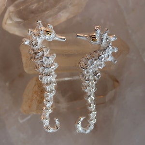 May include: A pair of silver seahorse earrings with gold accents. The seahorses are detailed with a textured surface.
