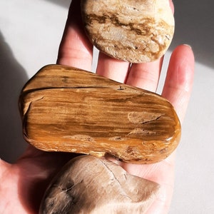Petrified Wood lot of 3 - Tumble Petrified Wood - Palm size Petrified Wood  - Polished Petrified Wood - Tumbles Rock - Tumbled Stone