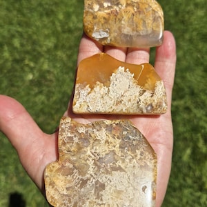 Puede incluir: Tres piedras pulidas de forma irregular con una mezcla de patrones beige, marrón y blanco. Las piedras se sostienen en una mano sobre un fondo de hierba verde. Las piedras tienen un aspecto natural y orgánico.