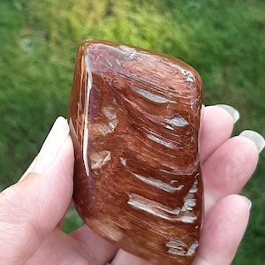Petrified Wood - Tumble Petrified Wood - Large Palm size Petrified Wood  - Polished Petrified Wood - Tumbles Rock - Tumbled Stone