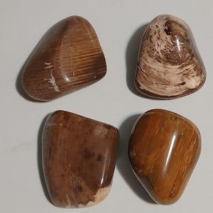 Petrified Wood lot of 4 - Tumble Petrified Wood - Small size Petrified Wood  - Polished Petrified Wood - Tumbles Rock - Tumbled Stone