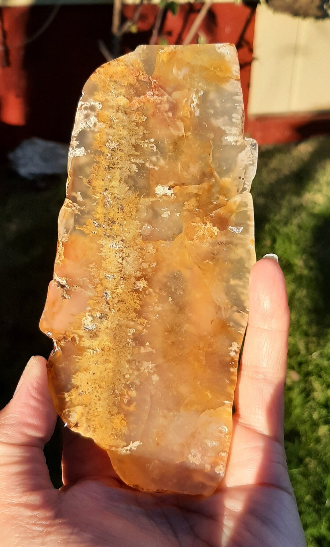 Graveyard Point Agates Graveyard Point Plume Agate Polished Agate Slab
