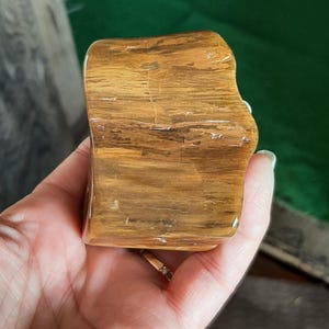 Petrified Wood - Tumble Petrified Wood - Large Palm size Petrified Wood  - Polished Petrified Wood - Tumbles Rock - Tumbled Stone