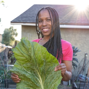 50 Mustard-Spinach Seeds, AKA Komatsuna -- Heirloom and GMO-Free -- Eat your Greens