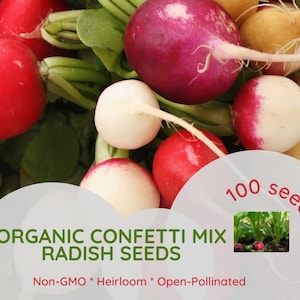 75 Organic Confetti Mix Radish Seeds -- Heirloom -- Non-GMO