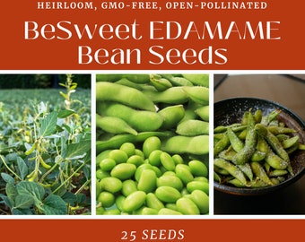 Edamame BeSweet Soybean Seeds - Non-GMO, Heirloom, Open-pollinated
