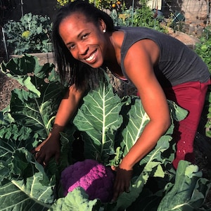 50 Purple of Sicily Cauliflower Seeds, Non GMO, Heirloom