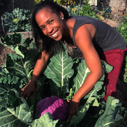 50 Purple of Sicily Cauliflower Seeds, Non GMO, Heirloom