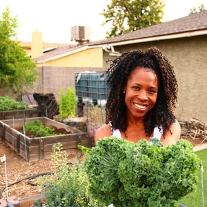 100 Organic Dwarf Blue Curled Scotch Kale OR Organic Black Tuscan Kale seeds