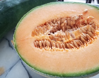Semi di melone cantalupo dolci e succosi Hales Best – SENZA OGM – Heirloom