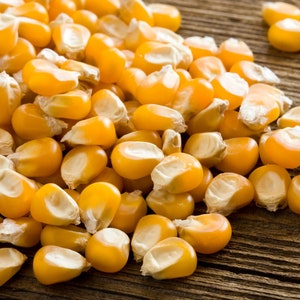 Golden Bantam Corn Seeds - Non-GMO, Heirloom, Open-pollinated…. Sooooo sweet - 40 seeds