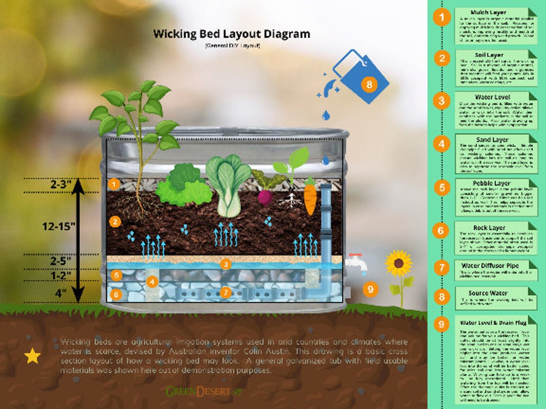 Wicking Bed Diagram to Help You Build Your Own It's a Etsy