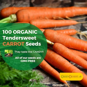 100 Organic Tendersweet Carrot Seeds --- One of the sweetest, candy-like carrots you’ll find!