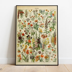 Vintage Flowers Botanical Illustration - Vintage Reproduction Wall Art Deco Decor Poster Print