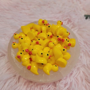 Mini Resin Rubber Ducks: Fairy Garden & Dollhouse Accessories (10 Piece Set)