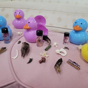 May include: A collection of colorful rubber duck toys in yellow, blue, and purple, with orange beaks. Small glass vials and animal bones and claws are scattered around the ducks on a pink surface. A sticker reads "Socially Awkward."