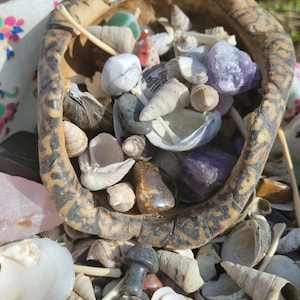 May include: A turtle shell filled with a variety of small objects, including seashells, stones, and crystals. The objects are arranged in a random pattern and are of different colors and sizes.