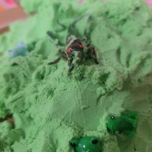 Puede incluir: Primer plano de arena cinética verde con pequeños juguetes de plástico con forma de rana y un insecto marrón y verde. Las ranas de juguete son de varios tonos de verde y azul. El insecto tiene ojos rojos.