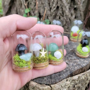 May include: Three small glass bottles with cork tops, each containing a miniature mushroom, moss, and a small decorative element. The mushrooms are made of white, green, and black stone. The decorative elements are a starfish, a seashell, and a green stone.