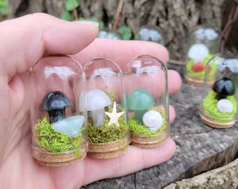 Mini mushroom terrarium, choose your mushroom, Customizable, preserved Terrarium, zero care Terrarium, Crystal mushroom terrarium, gifts