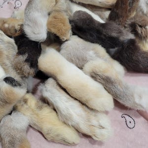 Lucky Rabbit Foot Charm: Ethically Sourced, Craft Ready