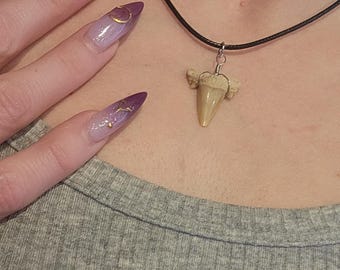 Genuine Shark Tooth Pendant Necklace - Oddities & Curiosities Gift