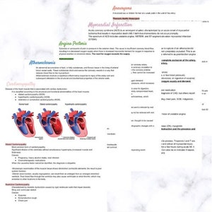 Cardiac Nursing Disease Processes Study Guide