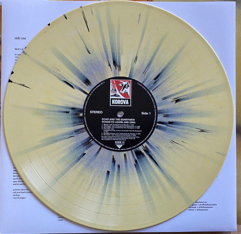 Echo & the Bunnymen Songs to Learn and Sing Limited Edition Etsy